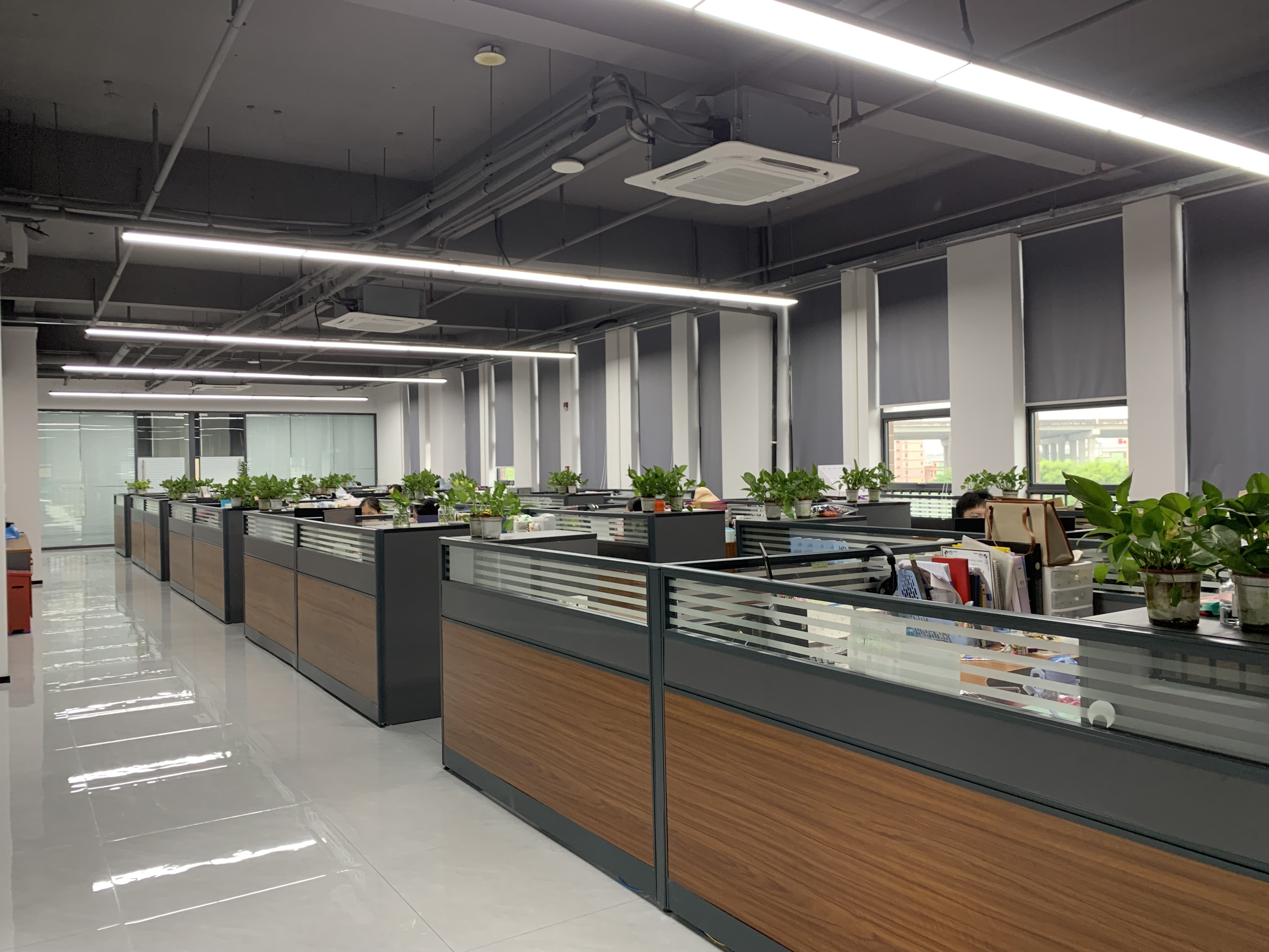 China RICHSTAR (SHENZHEN) LIMITED company profile