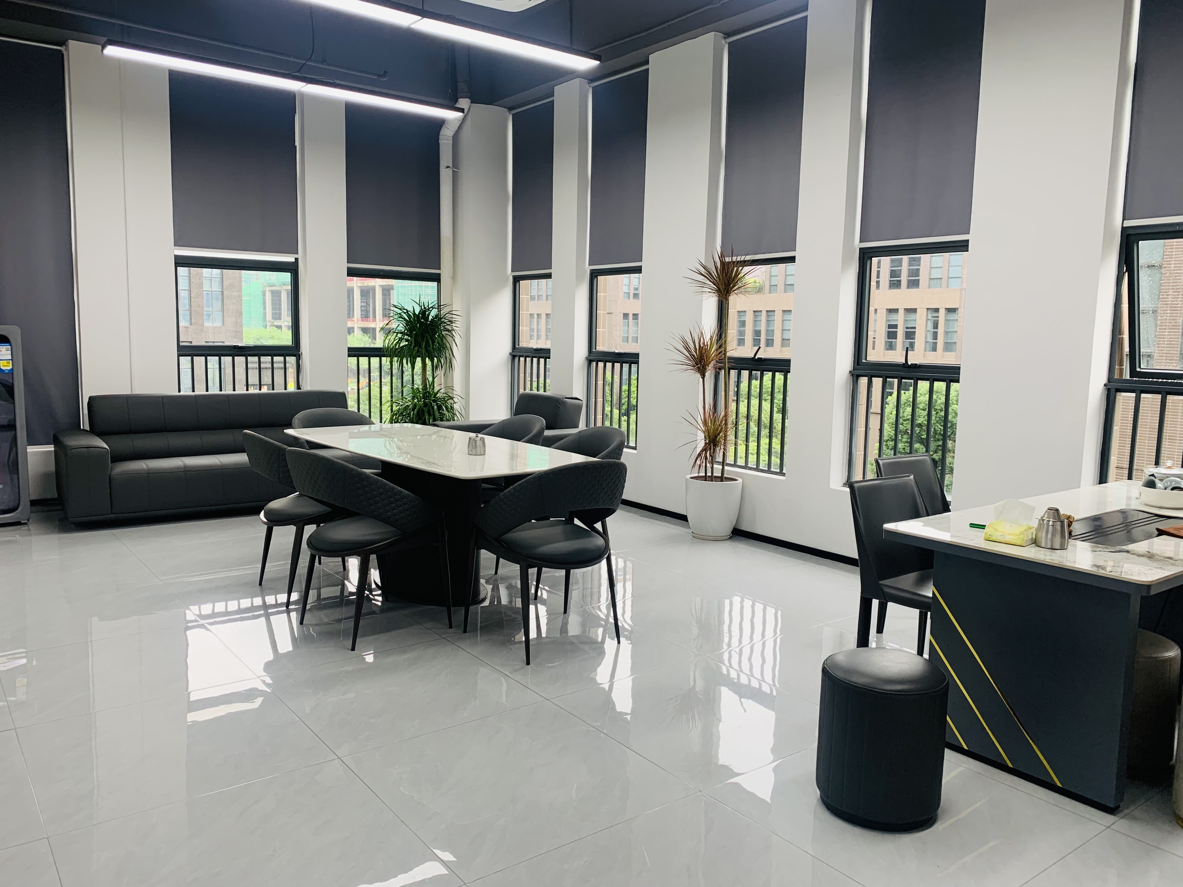 China RICHSTAR (SHENZHEN) LIMITED company profile